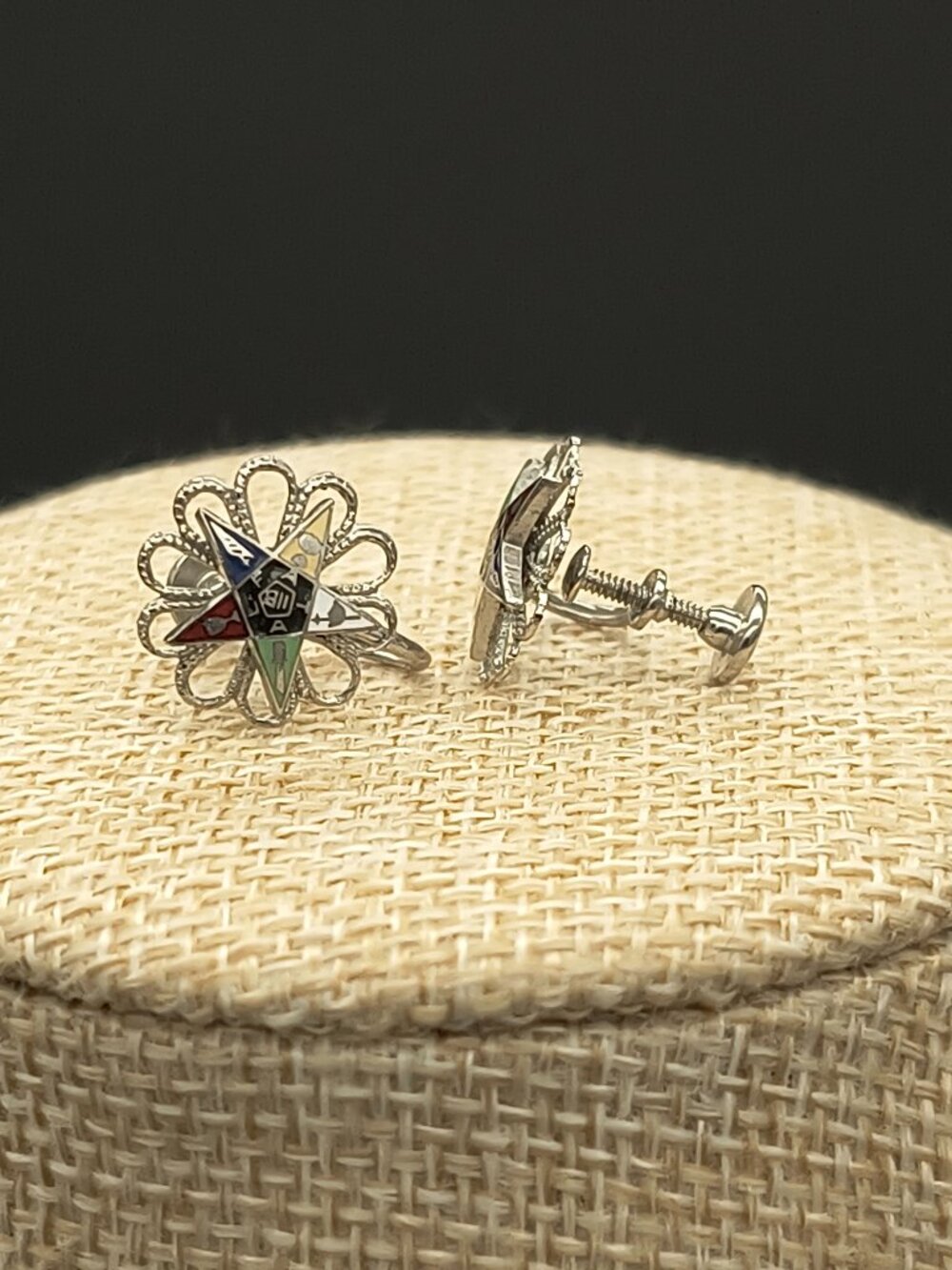Vintage Order of the Eastern Star Silver Tone Enamel Screw Back Earrings
